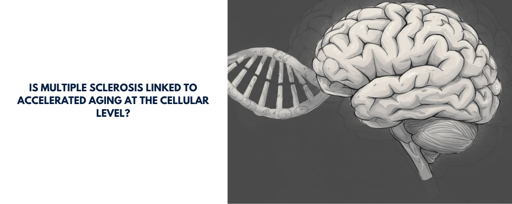Is Multiple Sclerosis Linked to Accelerated Aging at the Cellular Level?