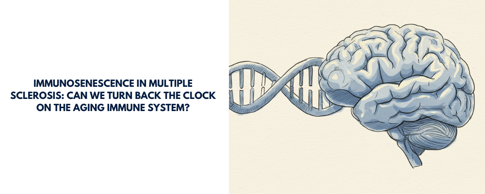 Immunosenescence in Multiple Sclerosis: Can We Turn Back the Clock on the Aging Immune System?